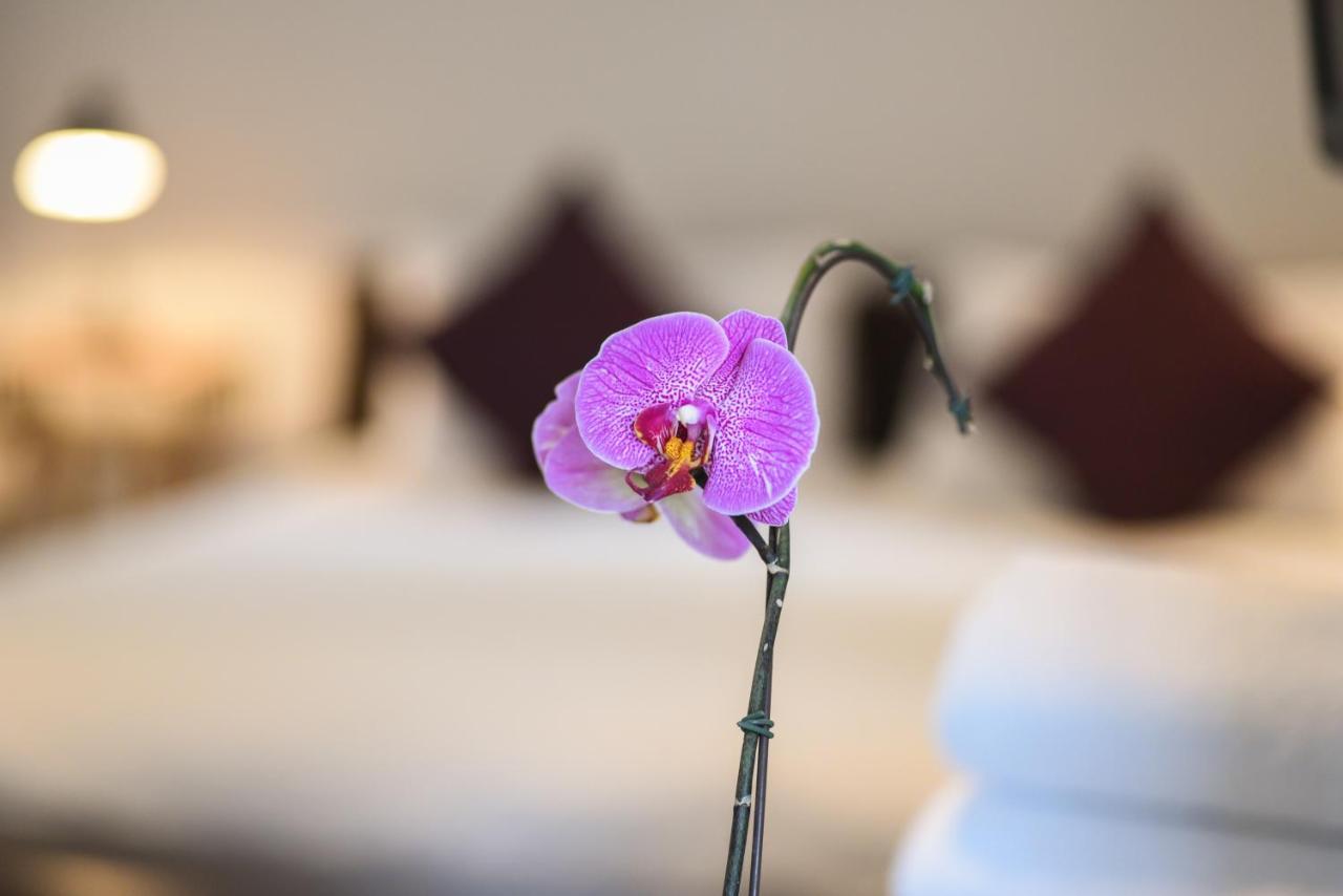 51 On Camps Bay Hotel Kapstaden Eksteriør billede